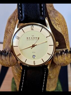Skagen Goldtone Case Watch with Cream Dial and Black Strap